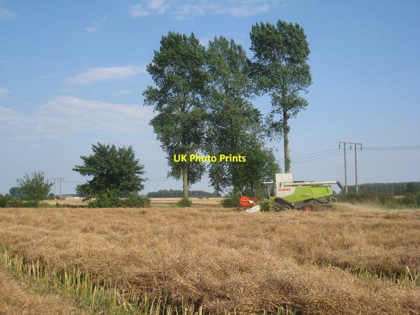 Photo 6"x4" Harvesting oilseed rape near Ashby cum Fenby Ashby cum Fenby c2012