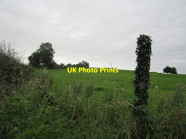 Photo 6"x4" Grass fields, Newcastle Oldcastle\/N5580 c2012