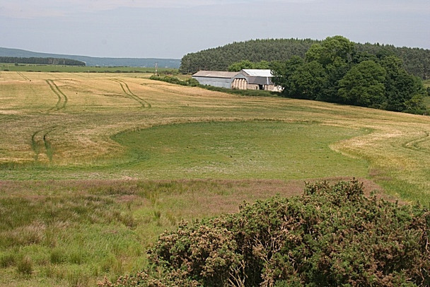 Photo 6"x4" Upper Manbeen Paddockhaugh c2008