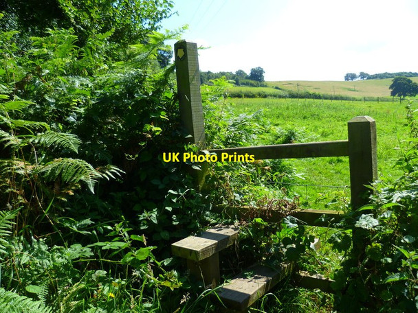 Photo 6"x4" Stile near Thorncombe Street Thorncombe Street c2012