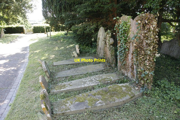 Photo 6"x4" The graves under the trees Eaton Hastings c2012