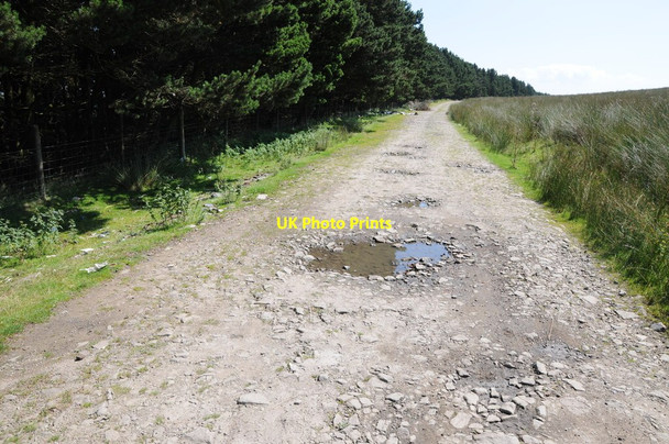 Photo 6"x4" Track beside Cwm Du Wood Abersychan c2012