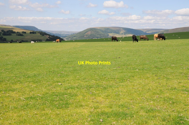 Photo 6"x4" Farmland near St Illtyd Abertillery\/Abertyleri c2012