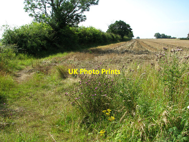 Photo 6"x4" Path to Hempnall Hempnall c2012