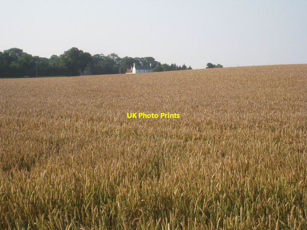 Photo 6"x4" View from the junction of Bloxholm Lane and Long Wood Lane towards Blankney Granges Blankney c2012
