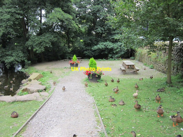 Photo 6"x4" The picnic area at Low Bradfield Low Bradfield c2012