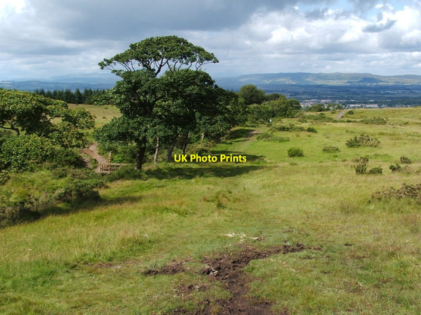 Photo 6"x4" The valley of the Gleniffer Burn Foxbar c2012