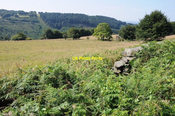 Photo 6"x4" Farmland near Cefn-y-crib Cefn-y-Crib c2012