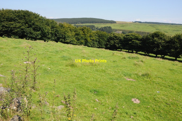 Photo 6"x4" Farmland near Cefn-y-Grib Farm Cefn-y-Crib c2012