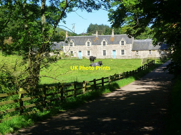 Photo 6"x4" Carskiey Home Farm Southend\/NR6908 c2012