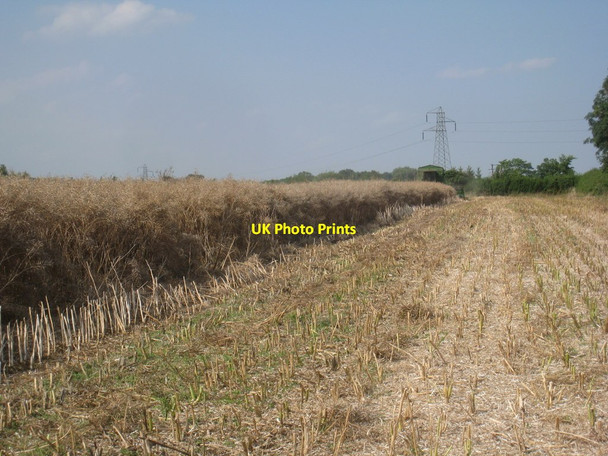 Photo 6"x4" Harvesting oilseed rape near Scopwick Kirkby Green c2012
