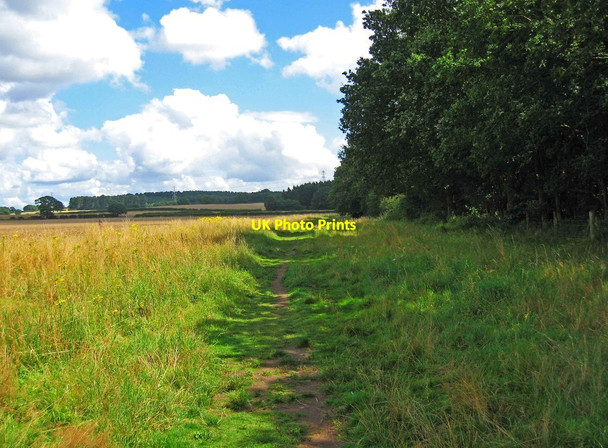 Photo 6"x4" Footpath in field by northern edge of Hurcott Wood, looking east, near Kidderminster Broadwaters c2012