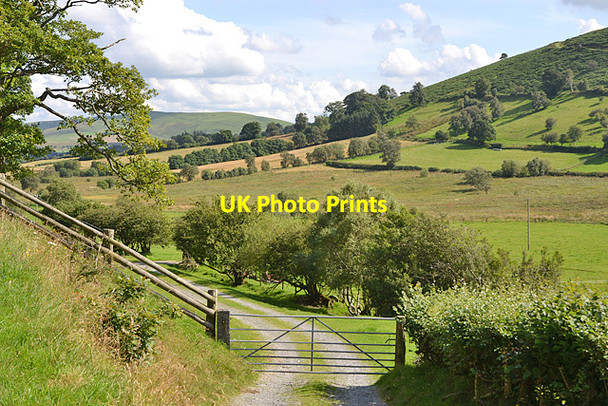 Photo 6"x4" Lane leading to Cae'rneuadd farm Nantgwyn\/SN9776 c2012