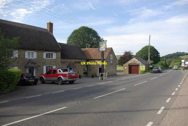 Photo 6"x4" The Half Moon, Melplash Camesworth c2012