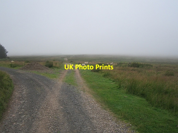 Photo 6"x4" Road junction Longformacus c2012