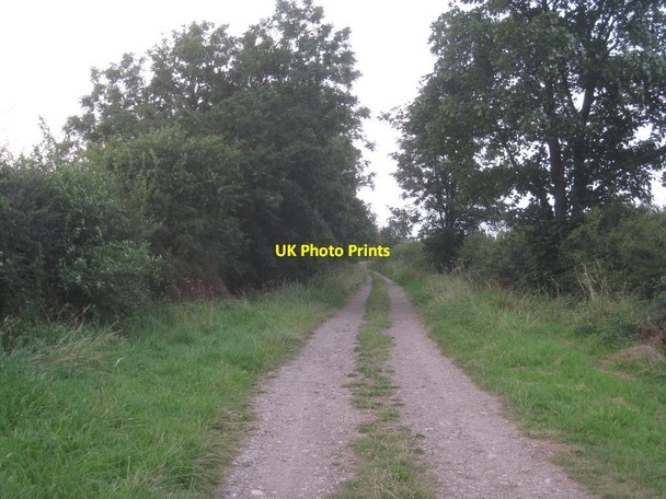 Photo 6"x4" Northcroft Lane near Collingham Besthorpe\/SK8264 c2012