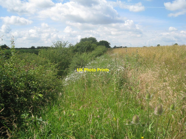 Photo 6"x4" The footpath from Barnby in the Willows to Balderton Barnby in the Willows c2012