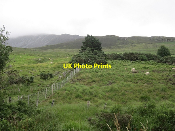 Photo 6"x4" Slopes of Nephin Bofeenaun c2012