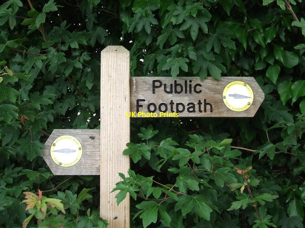 Photo 6"x4" Boudicca Way Audley End\/TM1482 c2012