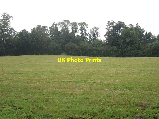 Photo 6"x4" Field near Maxton Maxton\/NT6130 c2012
