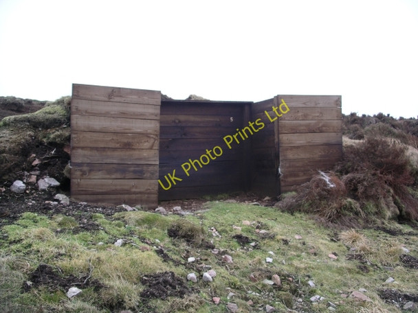 Photo 6"x4" Grouse Butt No. 5, Crib Law Crib Law\/NT5259 c2006