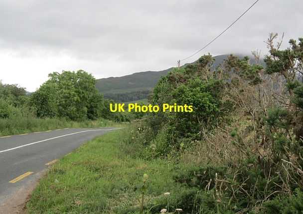 Photo 6"x4" R312, Boggy Bofeenaun c2012