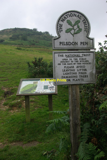 Photo 6"x4" Pilsdon Pen Pilsdon c2012