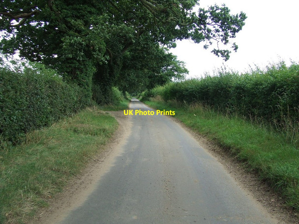 Photo 6"x4" Burton Road Scole Common c2012
