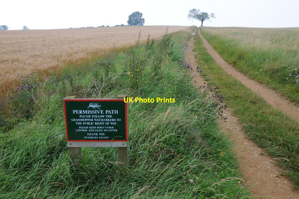 Photo 6"x4" Permissive Path on Bredon Hill Conderton c2012