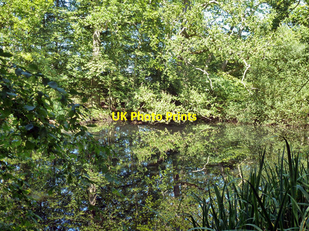 Photo 6"x4" Pond by Ward's Lane Birchett's Green c2012