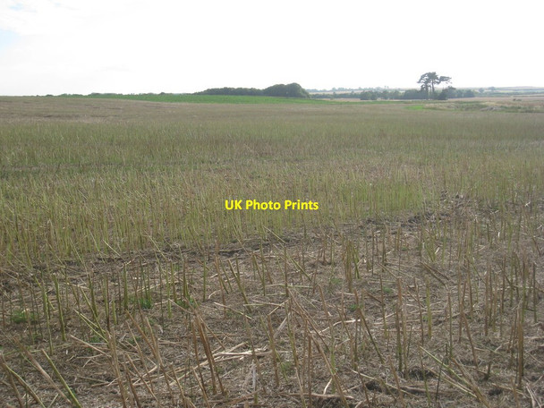 Photo 6"x4" View over a field of harvested oilseed rape Great Sturton c2012