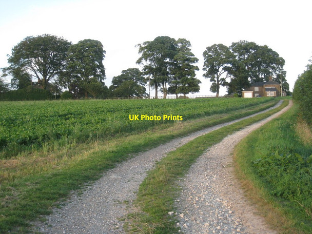 Photo 6"x4" Bridleway near Ranby Ranby\/TF2278 c2012