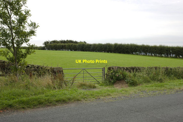 Photo 6"x4" Gate opposite Moor Cottage Braythorn c2012