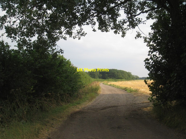 Photo 6"x4" Farm track to Ingham Road Coates\/SK9183 c2012