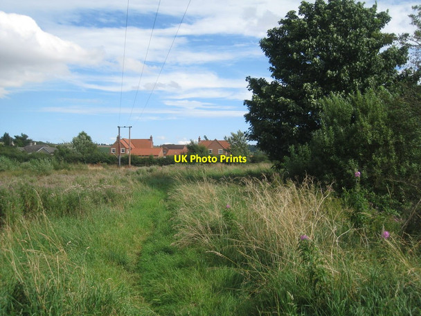 Photo 6"x4" The Viking Way entering Scamblesby Scamblesby c2012