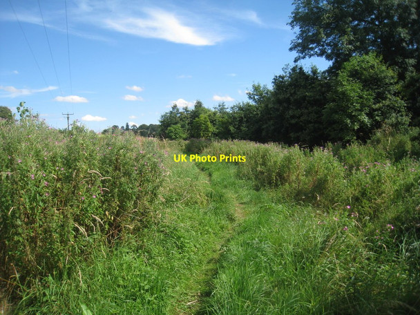 Photo 6"x4" The Viking Way near Asterby (2) Asterby c2012