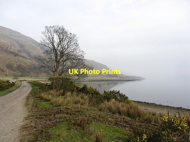 Photo 6"x4" Shores of Loch Linnhe Corran\/NN0163 c2012