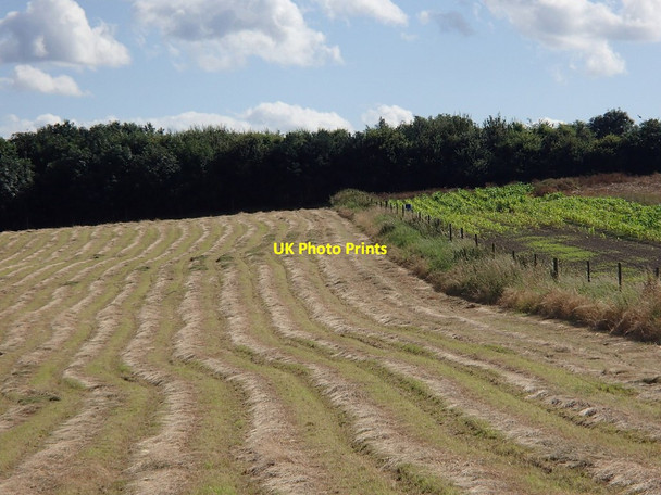 Photo 6"x4" Fields near Sutton Scarsdale Sutton Scarsdale c2012