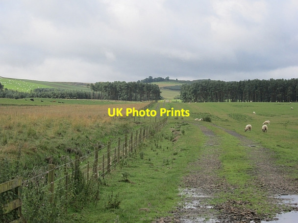 Photo 6"x4" Farm track East Third\/NT6436 c2012