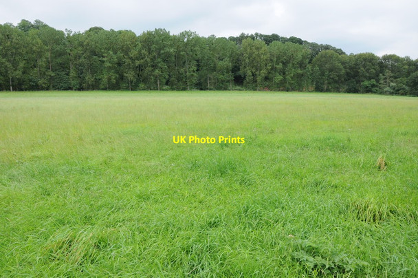 Photo 6"x4" Meadow in the Teme valley Berrow Green c2012