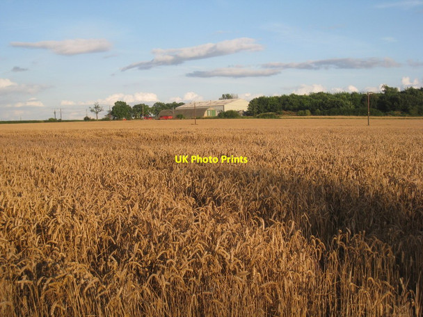 Photo 6"x4" South Gulham Kingerby c2012