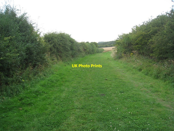 Photo 6"x4" Behind the hedge, Poke's Hole Hallington\/TF3085 c2012