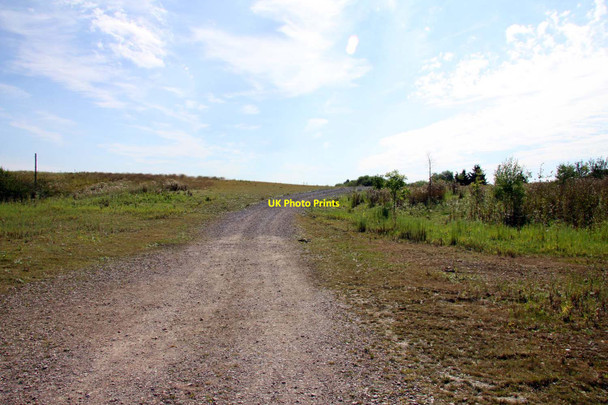 Photo 6"x4" A track across the Heathrow Conservation Site Longford\/TQ0476 c2012