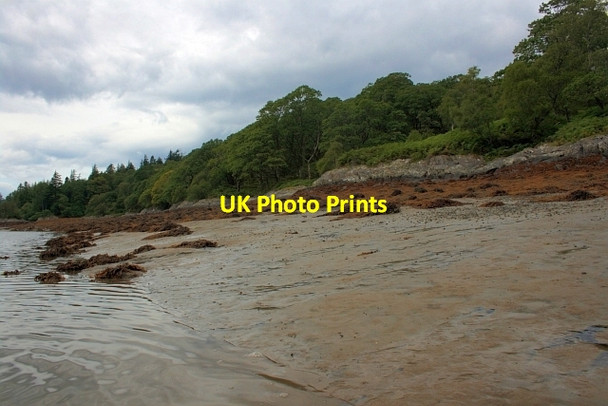 Photo 6"x4" Low Tide, Loch Moidart Invermoidart c2012 P1