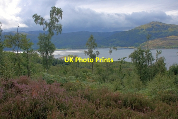 Photo 6"x4" Loch Sunart Ardery c2012