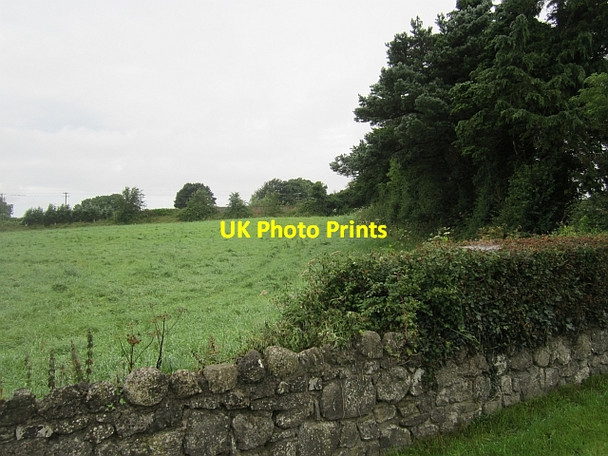 Photo 6"x4" Field, Glasson Glassan c2012