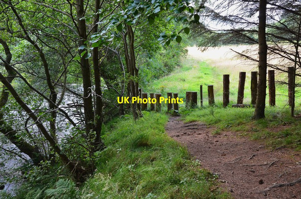 Photo 6"x4" Path by the South Esk near Carrington Carrington\/NT3160 c2012