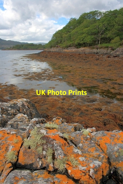 Photo 6"x4" Rocks and Lichen at Tr\u00c3\u00a0igh Breige Ardery c2012