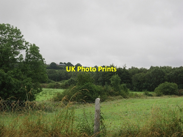 Photo 6"x4" Small fields The Pigeons c2012