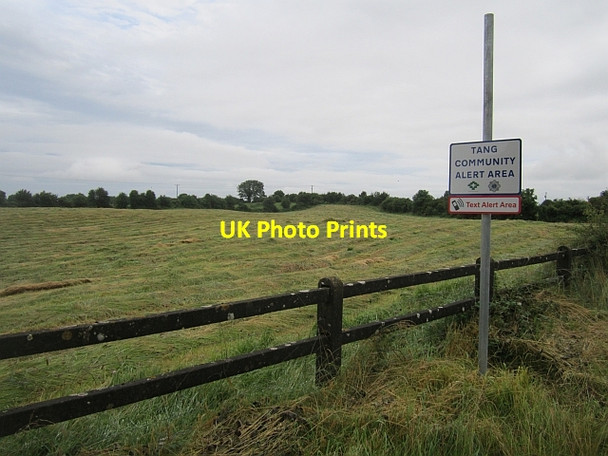 Photo 6"x4" Mown grass The Pigeons c2012